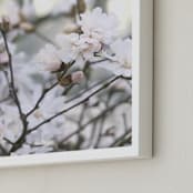 "Magnolia Blossoms" - Art Print in Sage by Jayna B - Frame Close-up
