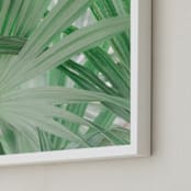 "Yucatan I" - Art Print in Tropical Green by Lindsay Ferraris Photography - Frame Close-up