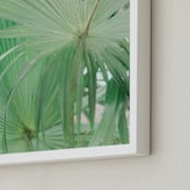 "Yucatan VII" - Art Print in Jungle Green by Lindsay Ferraris Photography - Frame Close-up