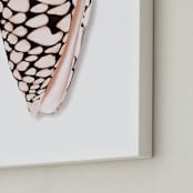 "Modern Marble Cone Shell" - Art Print in Misty Rose by Artsy Canvas Girl Designs - Frame Close-up