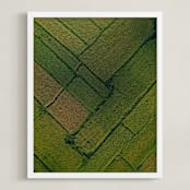 "Above the Paddy" - Art Print in Green by Alaric Yanos - Framed