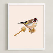 "The goldfinch 2" - Art Print in beige with a rose tint by Nina Leth - Framed