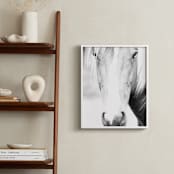 "Palomino" - Art Print in black and white by Angela Thompson - In a Room