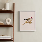 "The goldfinch 2" - Art Print in beige with a rose tint by Nina Leth - In a Room