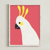 "Hello Cocky! " - Art Print in Coral by Catherine Culvenor - Framed
