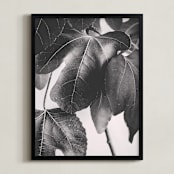 "Gather & Gaze" - Art Print in Matte Black by Alicia Youngken - Framed