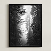 "Redwood Morning" - Art Print in Black & Whtie by Kamala Nahas - Framed