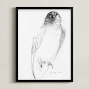 "Bateleur Eagle" - Art Print in dense black by Tracy Ann - Framed