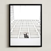 "Sophies Jungle" - Art Print in Black and White by Katrina Leandro - Framed