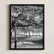 "Park Dreams" - Art Print in Black and White by Mark Kirby - Framed