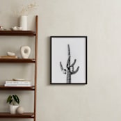 "Lone Cactus" - Art Print in Black and white by Ellen Schlegelmilch - In a Room
