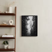 "Redwood Morning" - Art Print in Black & Whtie by Kamala Nahas - In a Room