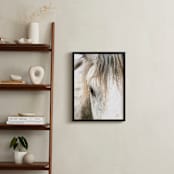 "Wild Horse Eye" - Art Print in Cafe Cream by Michelle Detering - In a Room