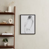 "Bateleur Eagle" - Art Print in dense black by Tracy Ann - In a Room