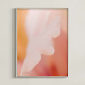 "Illuminated Flora" - Art Print in Sherbet by Lindsay Ferraris Photography - Framed
