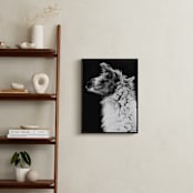 "Kai" - Art Print in Black White by Amy Carroll - In a Room