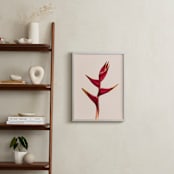 "heliconia 3" - Art Print in Heliconia by Kamala Nahas - In a Room