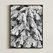 "Frost 3" - Art Print in Black & White by Ardell McLennan - Framed