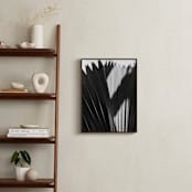 "Palmery 2" - Art Print in Black and White by Catherine Culvenor - In a Room