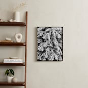 "Frost 3" - Art Print in Black & White by Ardell McLennan - In a Room