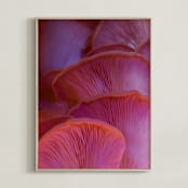 "Pink Oyster Mushrooms" - Art Print in Dreamy Pink Violet by Elena Kulikova - Framed
