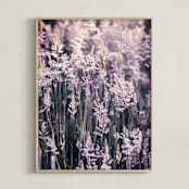 "Lovely Lavender" - Art Print in Lavender by Shine Haus Collective - Framed
