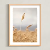 "marsh grass" - Art Print in Golden by Crystal Lynn Collins - Framed