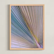 "Key West Palm" - Art Print in Sea Blue by Jonathan Brooks - Framed