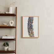 "Gentle Feather" - Art Print in Payne's Gray by Stephanie Toral - In a Room