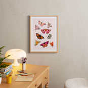 "Moths & Butterflies" - Art Print in Blush Pink by Shannon Kirsten - In a Room