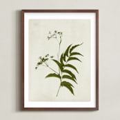 "Foraged III" - Art Print in Verdant by Kamala Nahas - Framed