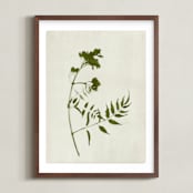 "Foraged I" - Art Print in Verdant by Kamala Nahas - Framed