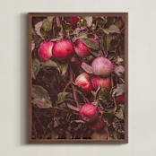 "Apple Season" - Art Print in Ripe Red by Justine Bicknell - Framed