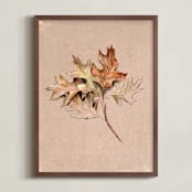 "Leaf Study" - Art Print in Oak by Olivia Kanaley Inman - Framed