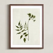 "Foraged II" - Art Print in Verdant by Kamala Nahas - Framed