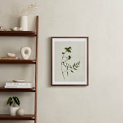 "Foraged I" - Art Print in Verdant by Kamala Nahas - In a Room