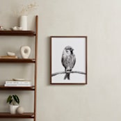 "Little Sparrow" - Art Print in Charcoal by Elly - In a Room