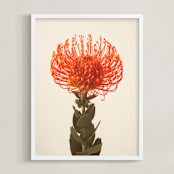 "Protea I" - Art Print in tangerine by Kamala Nahas - Framed