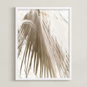 "Vanilla Palm" - Art Print in Day by Owl and Toad - Framed