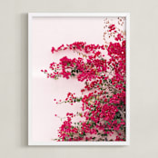 "Bright Bougainvillea" - Art Print in Bright Pink by The One With Wanderlust - Framed