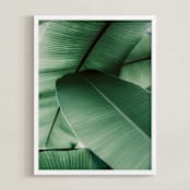 "Tropical Leaves" - Art Print in White by Alicia Abla - Framed