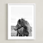 "A Horse and the Wind" - Art Print in Icland wind by Ilze Lucero - Framed