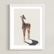 "Baby Giraffe" - Art Print in safari by Kamala Nahas - Framed