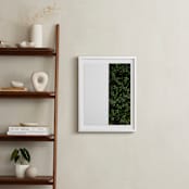 "verdant garden III" - Art Print in leaf by Sara Hicks Malone - In a Room