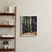 "Walk Into the Woods" - Art Print in Forest Brown by Bente Jorgensen-Barajas - In a Room