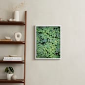 "Giant Muir Wood Clovers" - Art Print in Clover Green by Sharon Rowan - In a Room