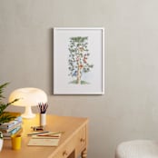 "Disney's Winnie The Pooh Tree" - Art Print in Green by Emma Adams - In a Room