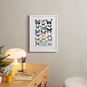 "Watercolor Butterfly Collection" - Art Print in Lush Meadow by Heidi Lowell - In a Room