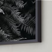 "Ferns" - Art Print in black and white by Eliane Lamb - Frame Close-up