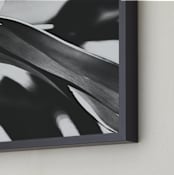 "GLOWING BOTANICAL II" - Art Print in BLACK AND WHITE by Amy Chapman Braun - Frame Close-up